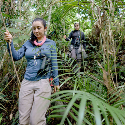Juliana Soto and Jessica Díaz walk through the forest on their way to check the mist nets.
