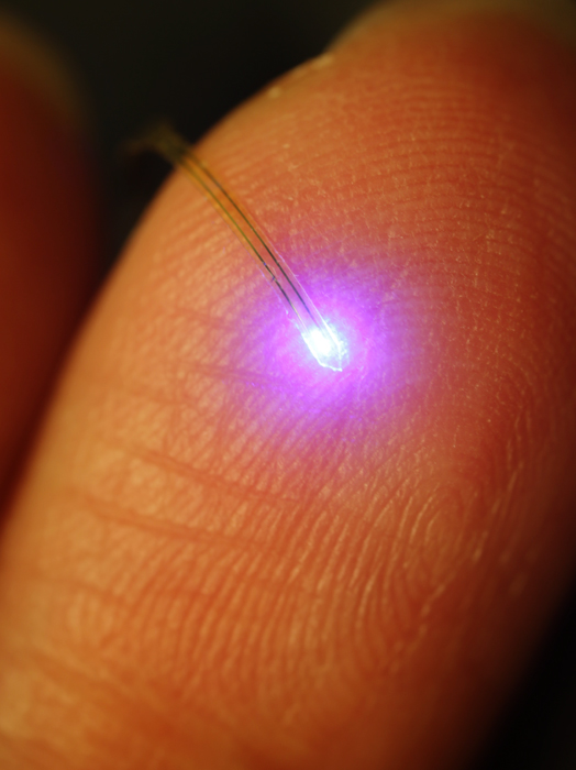A bright idea: Tiny injectable LEDs help study the brain | Illinois