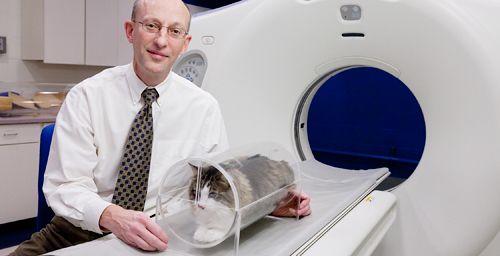 A better mousetrap The VetMouseTrap, a restraint device developed by veterinary radiologist Robert T. O'Brien, is enabling clinicians to conduct CT scans on patients that couldn't be scanned previously, leading to faster diagnosis and treatment of life-threatening conditions.