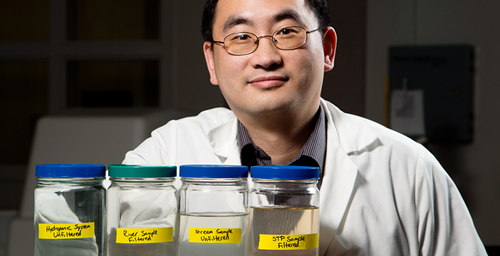 Rural sewage treatment lagoons remove most, but not all, of the pharmaceutical and personal care product and hormone contaminants from wastewater, suggests a new study led by Wei Zheng, a senior research scientist at the Illinois Sustainable Technology Center and an adjunct faculty member in the department of natural resources and environmental sciences at Illinois.