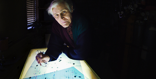 University of Illinois professor Carl R. Woese discovered a new domain of life.