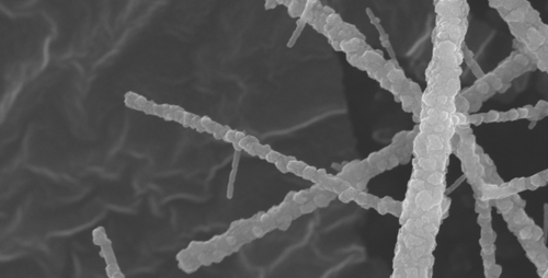 Nanofibers of metal oxide provide lots of highly reactive surface area for scrubbing sulfur compounds from fuel. Sulfur has to be removed because it emits toxic gasses and corrodes catalysts.