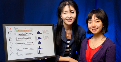 Researchers from the University of Illinois - professor Sua Myong, left, and graduate student Helen Hwang - determined the action of proteins that regulate the caps on the ends of DNA strands, creating an assay that could be used to screen anti-cancer drugs.