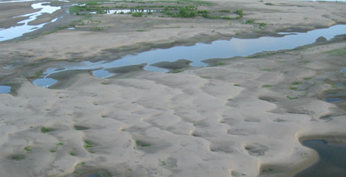 Sand deposits were worked into trains of dunes when flood water flowed into the Bonnet Carr Spillway in Lousiana. Once the flood subsided and the spillway was closed, the water drained and dried from the spillway, thereby exposing the dunes. Trees and shrubs near the top of the oblique aerial photograph provide scale.