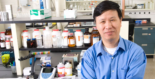 University of Illinois professor Ning Wang and colleagues in China use soft gels to culture the elusive cells that spread cancer from the primary tumor to other places in the body.