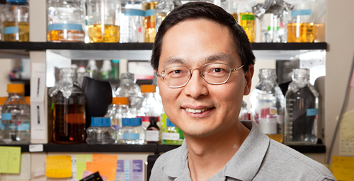 Professor Huimin Zhao, whose research explores biosynthetic tools for drug and energy development, was awarded a 2012 Guggenheim Foundation Fellowship.