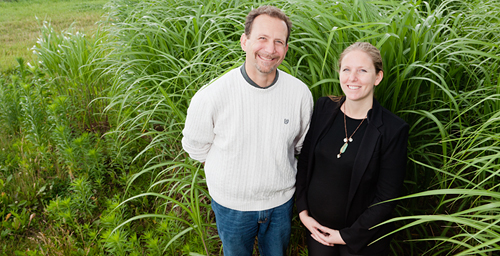 University of Illinois plant biology and Energy Biosciences Institute professor Evan DeLucia, EBI feedstock analyst Sarah Davis and their colleagues found that replacing the least productive corn acres with miscanthus would boost both corn and biofuel production.