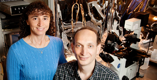 Illinois professor Claudio Grosman and research scientist Gisela Cymes used a high-resolution single-molecule study technique to see the very subtle differences between two branches of an important family of neurotransmitter-gated ion channels.