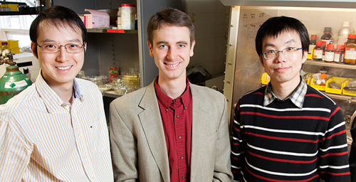 Paul Braun, professor of materials science and engineering, center, led the research group of graduate student Xindi Yu, left, and postdoctoral researcher Huigang Zhang that developed a three-dimensional nanostructure for battery cathodes that allows for dramatically faster charging and discharging without sacrificing energy storage capacity.
