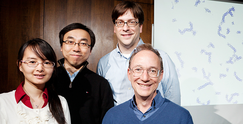 Researchers led by Founder Professor of Engineering Steve Granick, right, have developed tiny spheres that attract water to form "supermolecule" structures. Team members, from left, Qian Chen, doctoral student in materials science and engineering; Sung Chul Bae, research scientist; and Jonathan Whitmer, doctoral student in physics.