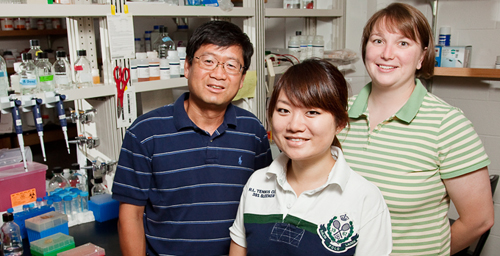 University of Illinois medical biochemistry professor Lin-Feng Chen and graduate students Ying-Huang Nicole Tsang, middle, and Acacia Lamb discovered a mechanism directly linking a protein associated with H. pylori infection of the stomach and stomach cancer.