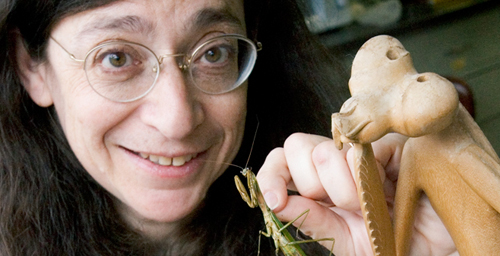 University of Illinois entomologist May R. Berenbaum is the 2009 recipient of the Public Understanding of Science and Technology Award from the American Association of the Advancement of Science.