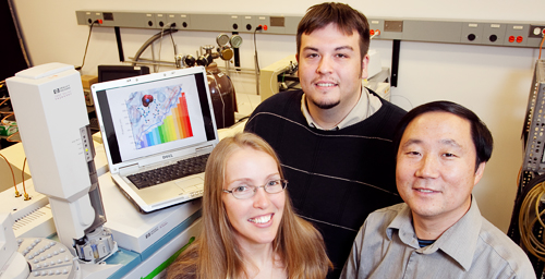 Chemistry graduate students Tiffany Hopper and Nick Marshall and professor Yi Lu have mimicked nature in their development of tailor-made proteins.
