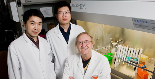 University of Illinois chemistry department research scientist Yonghui Zhang, left, chemist Rong Cao, chemistry professor Eric Oldfield, and their colleagues engineered a new bisphosphonate drug that is about 200 times more effective at killing cancer cells than a bisphosphonate drug used in a recent clinical trial.