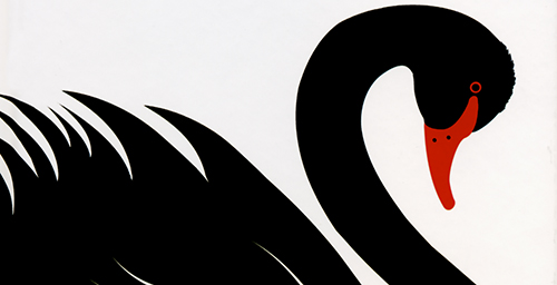 Book Corner: Emeritus professor chronicles his quest for a black swan |  Illinois