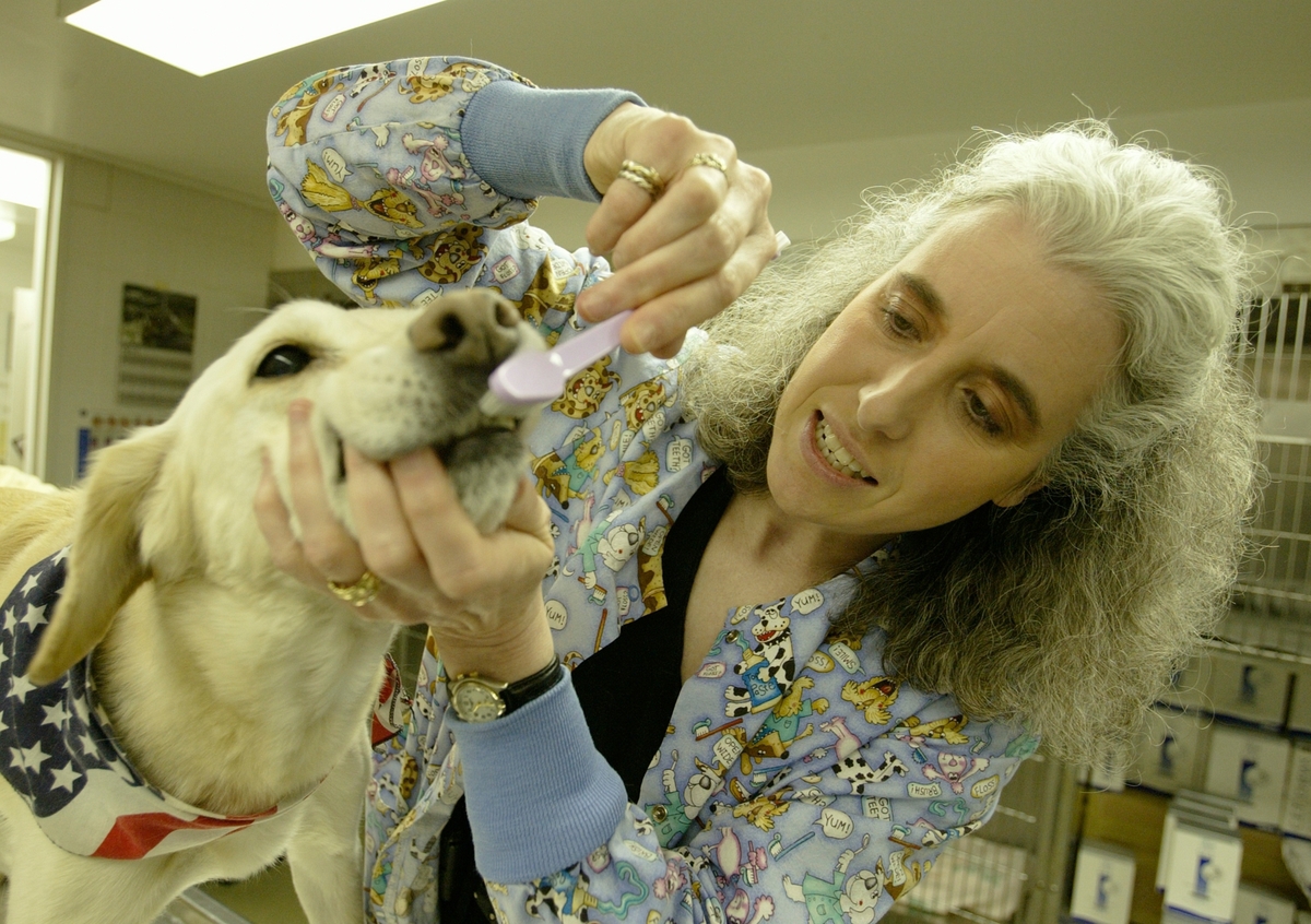 Jeanne Vitoux is a veterinary dental technician at the UI Small Animal Clinic, president of the Academy of Veterinary Dental Technicians, and a mentor and tutor in the veterinary technician program at Parkland College.