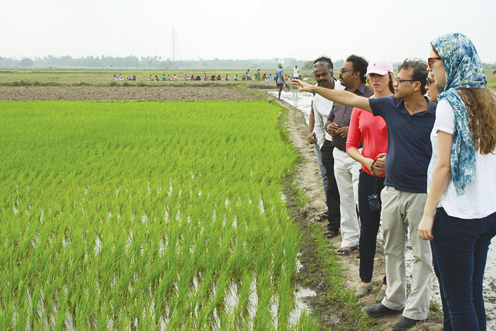 On a 10-day excursion to India, students meet and tour the facilities of small-scale farmers, food distributors, market vendors, restaurant managers, and storage facility operators.