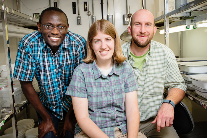 Researchers, from left, Ephantus Muturi, Allison Gardner and Brian Allan found that different types of leaf litter in water had different effects on the abundance of Culex pipiens mosquitoes, which can carry West Nile virus.
