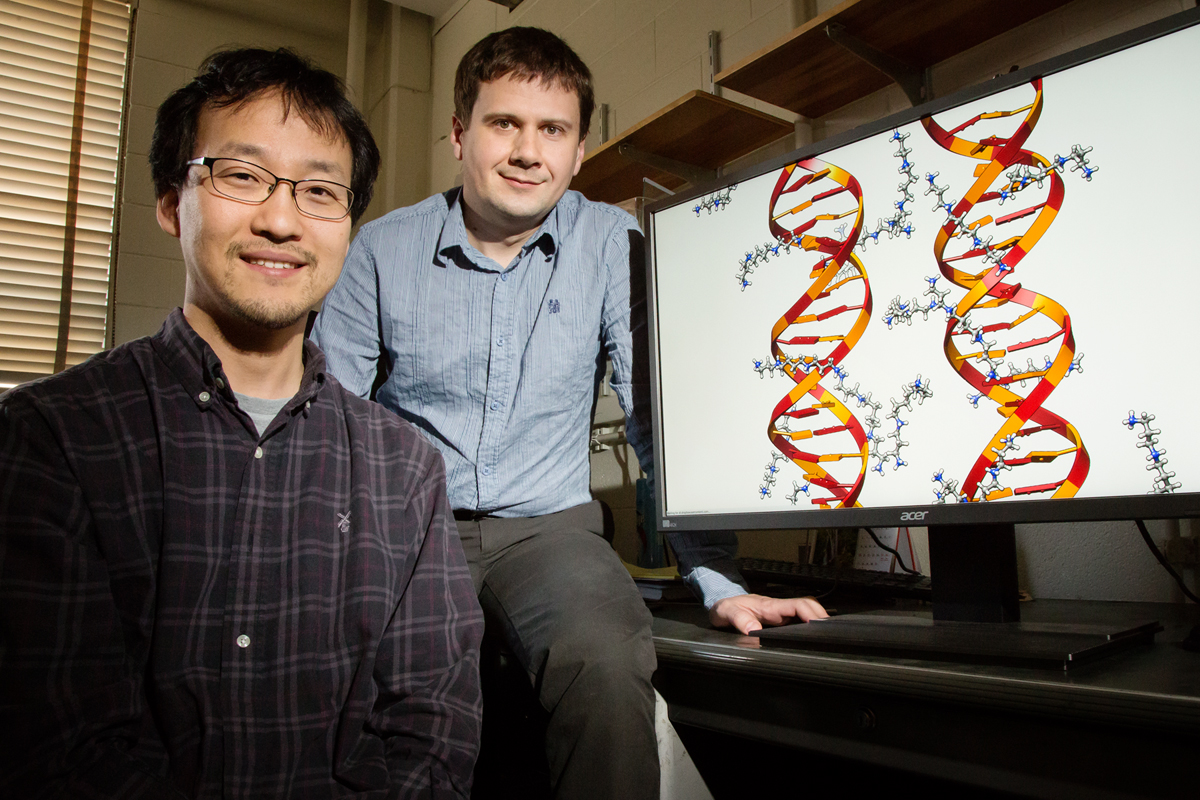 Illinois postdoctoral researcher Jejoong Yoo, left, and professor Aleksei Aksimentiev found that molecules of DNA directly interact with each other based on their sequences.