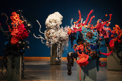 Crochet sculpture of a coral reef forest