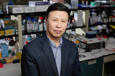Professor Ning Wang sits in his lab.