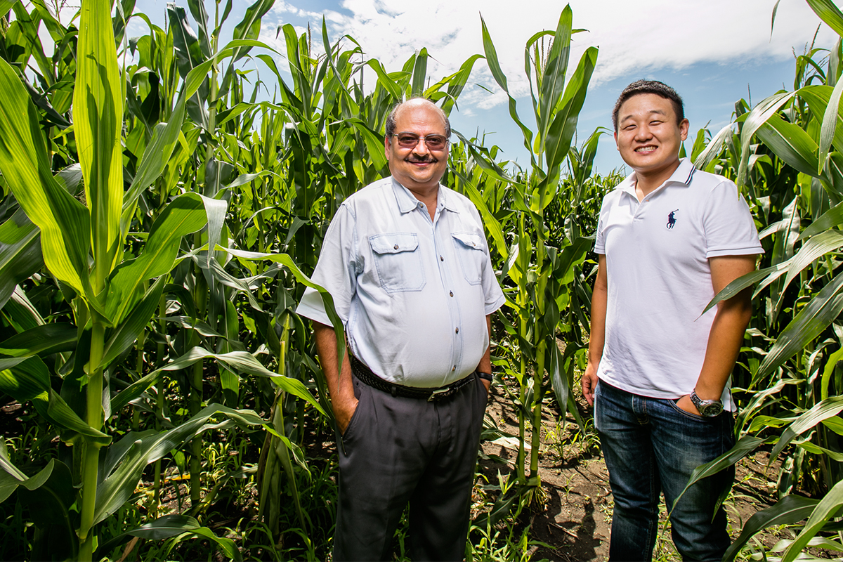 Professor Praveen Kumar and graduate student Dong K. Woo developed a model to tell the age of inorganic nitrogen in soil, which could help farmers more precisely apply fertilizer to croplands.