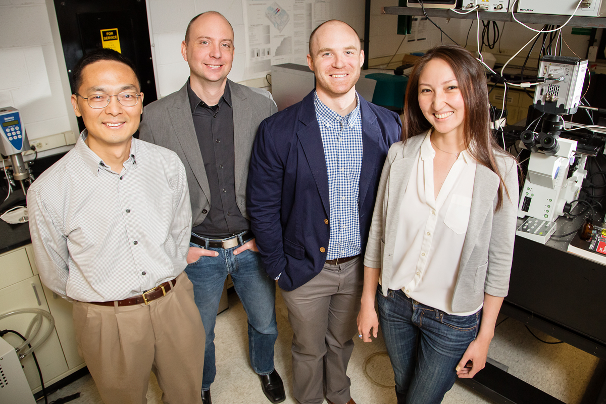 Illinois researchers found that one class of gene-editing proteins searches for its target by sliding along DNA like a zipline. Pictured, from left: professor Huimin Zhao, professor Charles Schroeder, graduate students Luke Cuculis and Zhanar Abil.