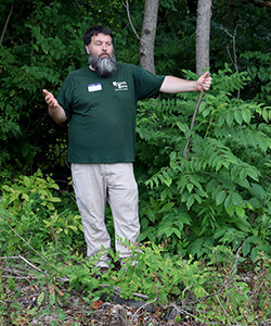 Evans shows participants how to identify and remove invasive species. Here, he stands at the forest edge, where invasive plants are most likely to thrive.