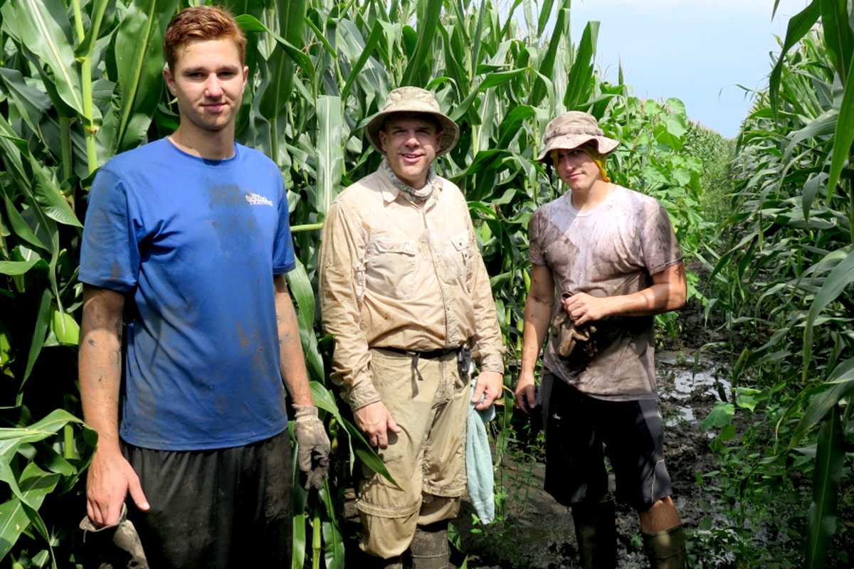 Joseph Spencer, center, with undergraduate student Joe Griffin, left, and U. of I. alumnus Brody Dunn, right, work to clear western corn rootworm beetle traps from a muddy cornfield.