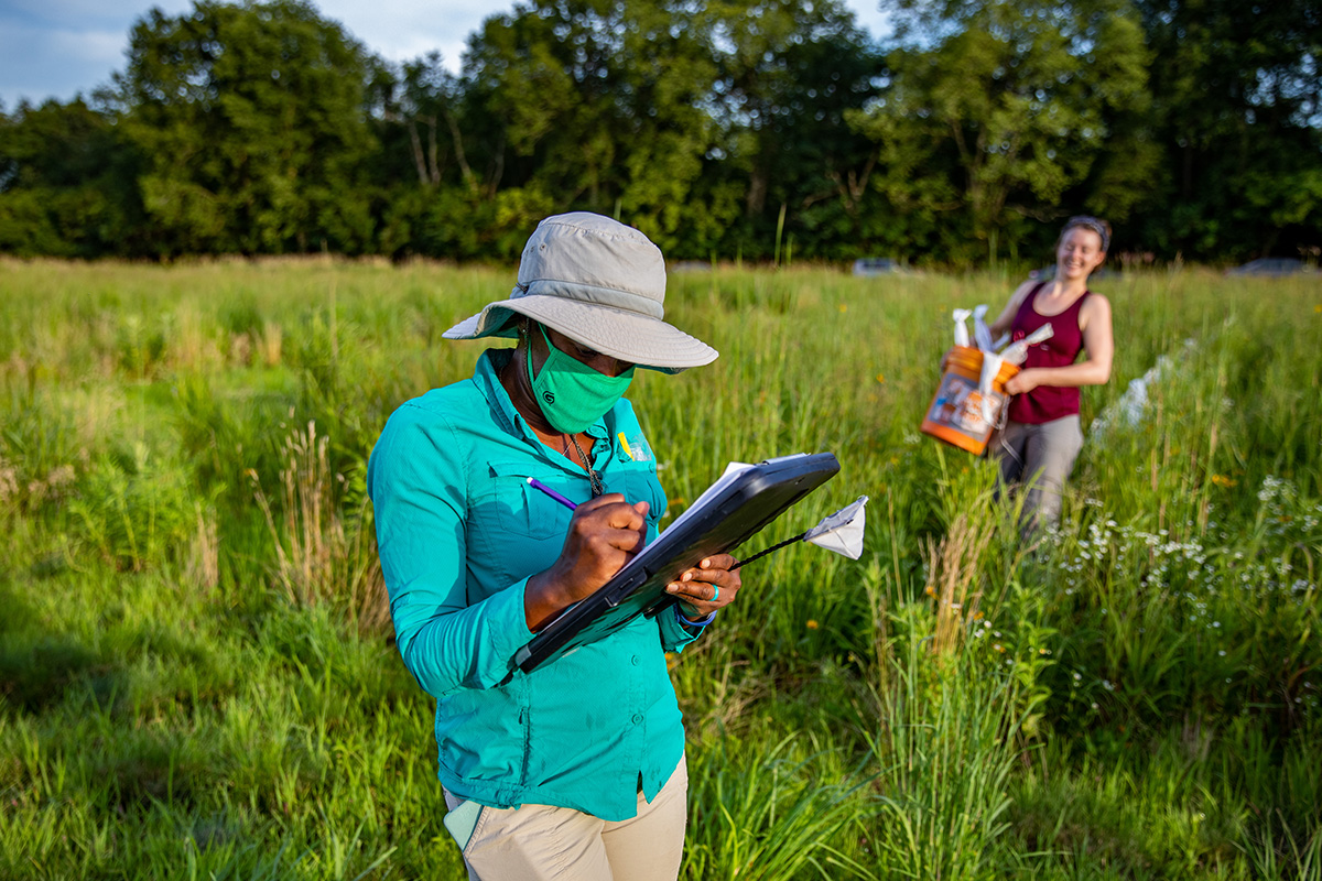 Entomology professor Alexandra Harmon-Threatt stands in a prairie with a clipboard in her hands. She is wearing a hat, a long-sleeved shirt and a mask. In the background, undergraduate student Sabine Miller carries a bucket of sandbags used to weigh down the tent traps.