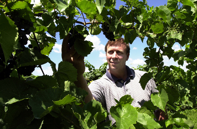 Stephen Menke is an enology specialist in the food science department and the state enologist for the Illinois Grape and Wine Resource Council. Enology is the study of wines and winemaking. plants and fields.
