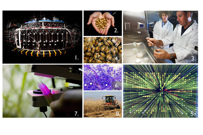 Illinois scientists are making advances in pharmaceutical chemistry (1); tracking invasive species (2) and emerging diseases (3); understanding pollinator biology, behavior and population status (4); exploring genomics (5); developing new imaging techniques (6); improving photosynthesis (7) and developing and harvesting biomass for bioenergy production (8).