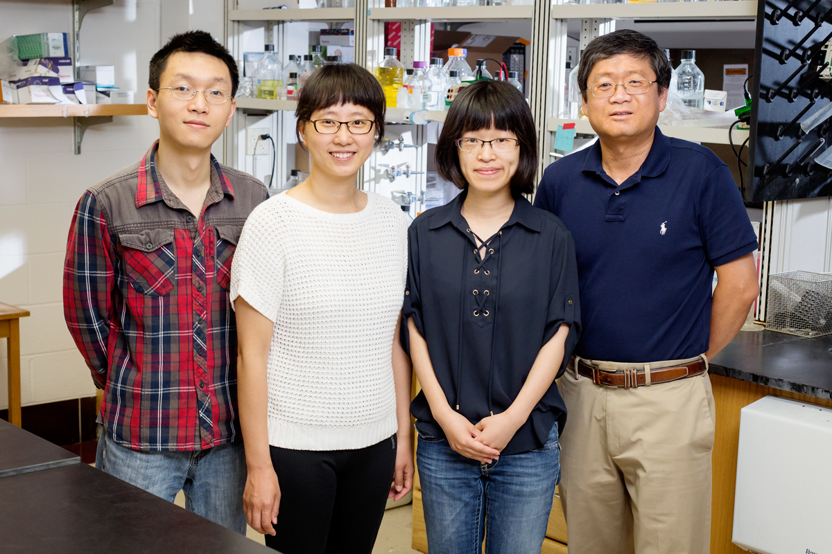 University of Illinois biochemistry professor Lin-Feng Chen, right, with, from left, postdoctoral researchers Xiangming Hu, Yan Bao and Jinjing Chen, study proteins that regulate the inflammatory response.