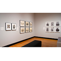 Photo of Hal Fischer’s work hanging in a Krannert Art Museum gallery.