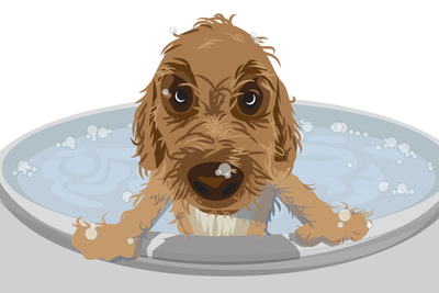Whirlpool baths were only part of the solution for Peter the goldendoodle.
