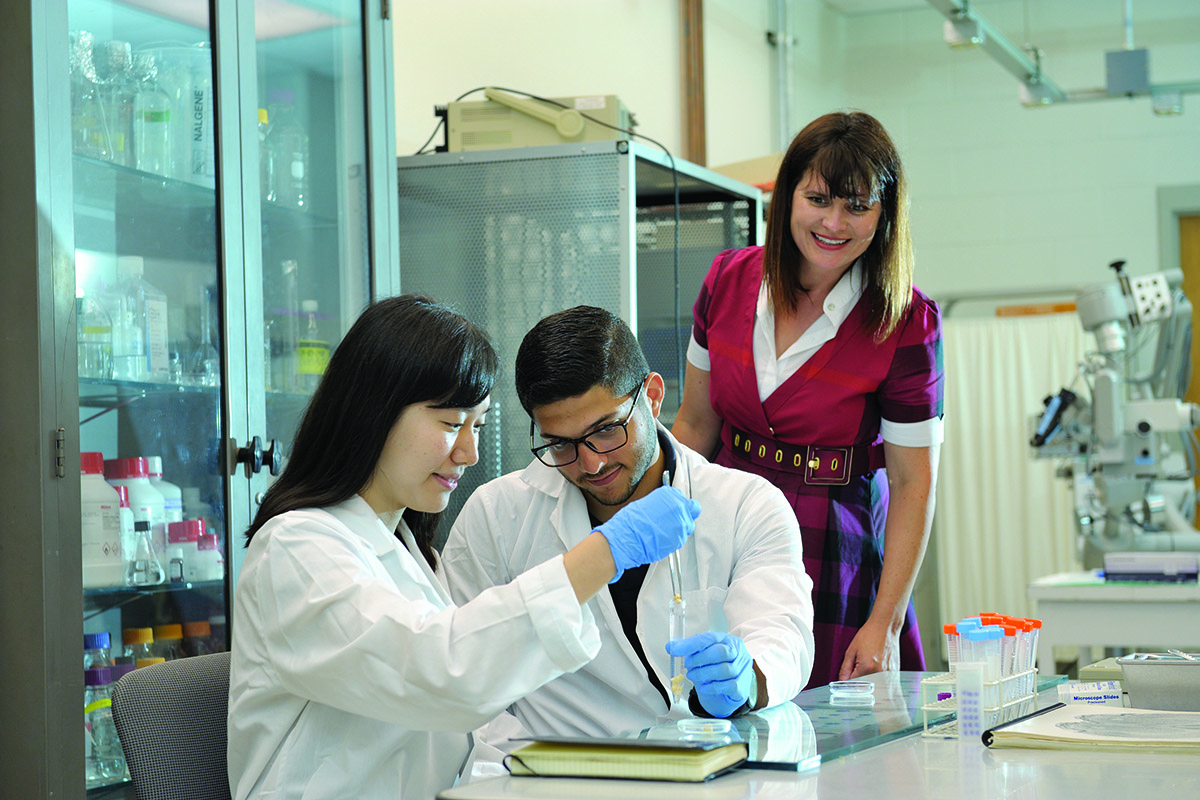 At right, Catherine Best, a research professor of bioengineering, supervises students, including REU participant Javier de Jesus Astacio, center, who is studying mechanical engineering at the University of Puerto Rico, Mayaguez, and Yujin Lee, an Illinois junior in bioengineering.