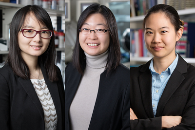 Three U. of I. professors are recipients of Alfred P. Sloan Research Fellowships this year.