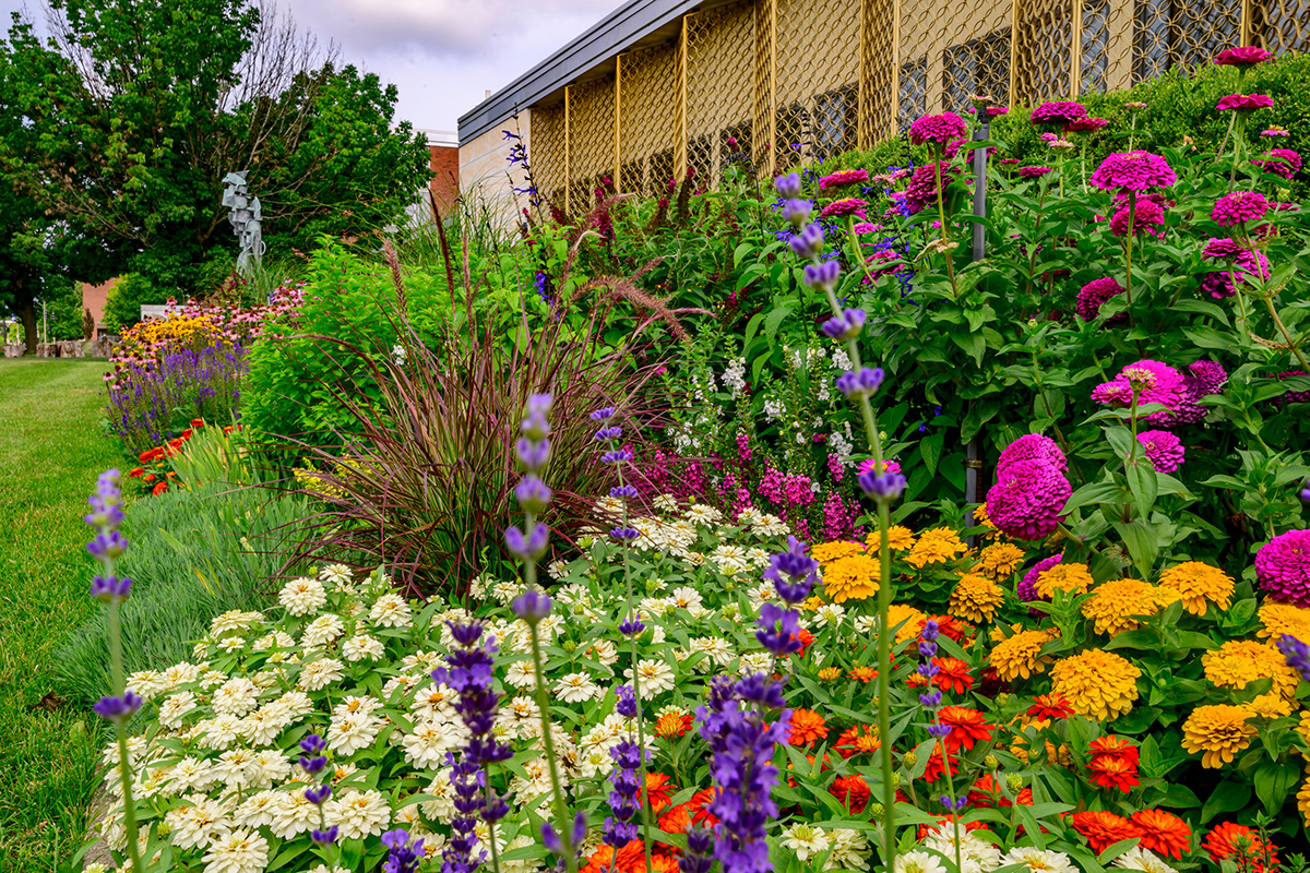 Photo of a garden full of colorful flowers.