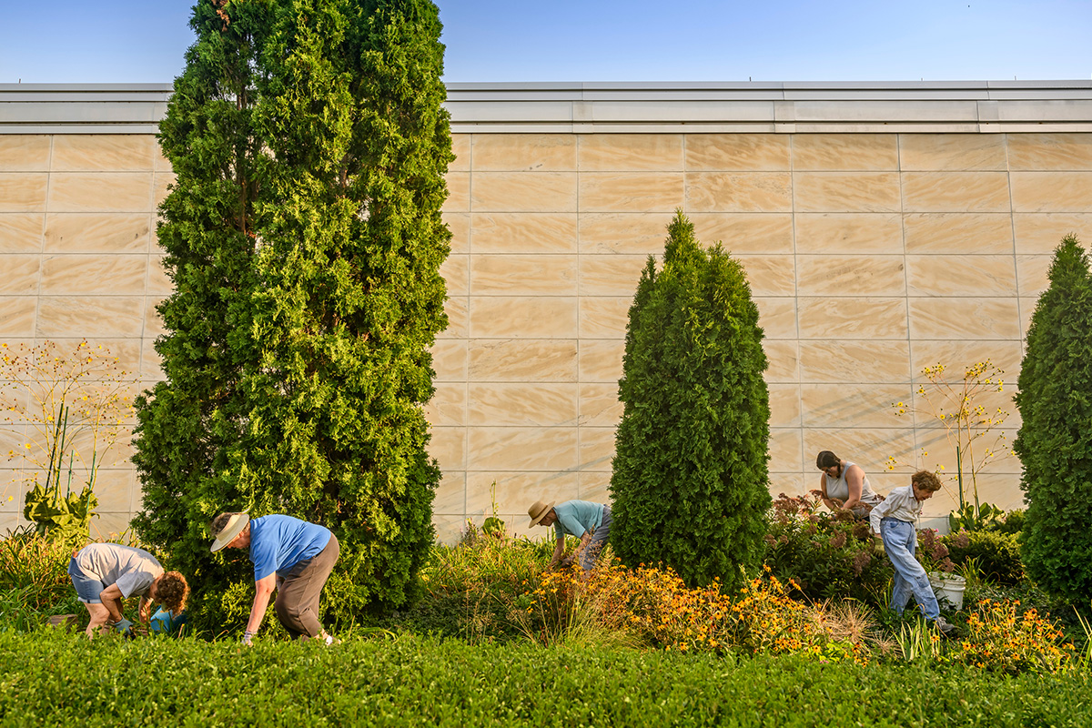 Photo of a group of gardeners working in front of the outside of Krannert Art Museum.