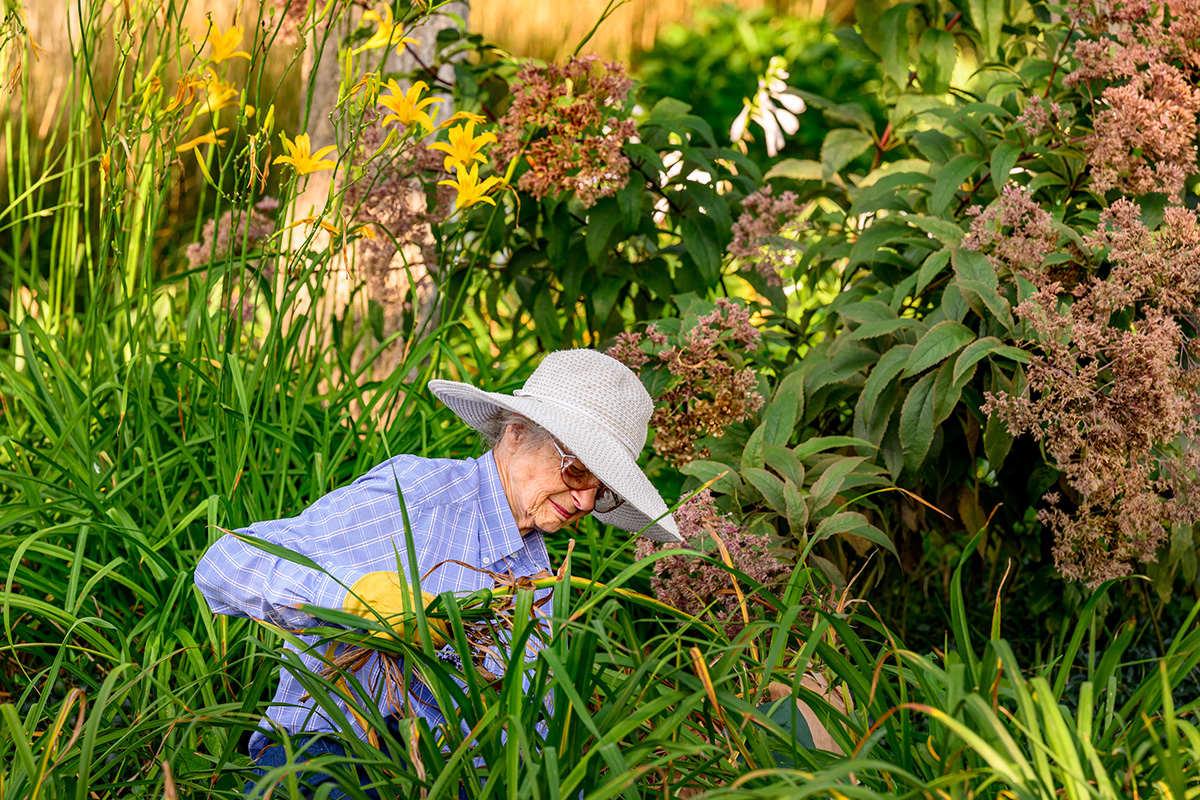 Photo of a gardener in a sun hat kneeling in the garden, with a handful of plants.
