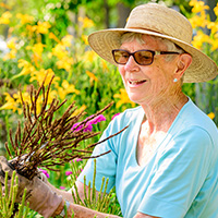 Photo of a gardener in a sun hat holding a handful of dried plants.