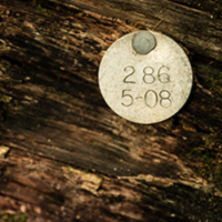 A silver tag is nailed to a fallen tree.