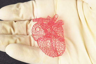 Freeform printing allows the researchers to make intricate structures, such as this model of a heart, that could not be made with traditional layer-by-layer 3-D printing. The structures could be used as scaffolds for tissue engineering or device manufacturing.