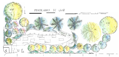 Design plans showing plants, a path and a bench.