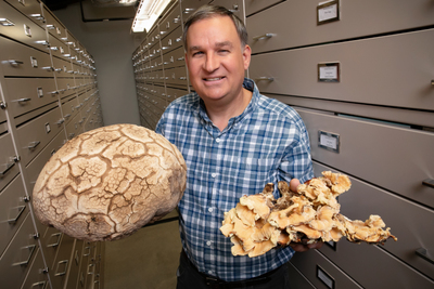 Andrew Miller and his colleagues created the first comprehensive checklist of North American fungi.