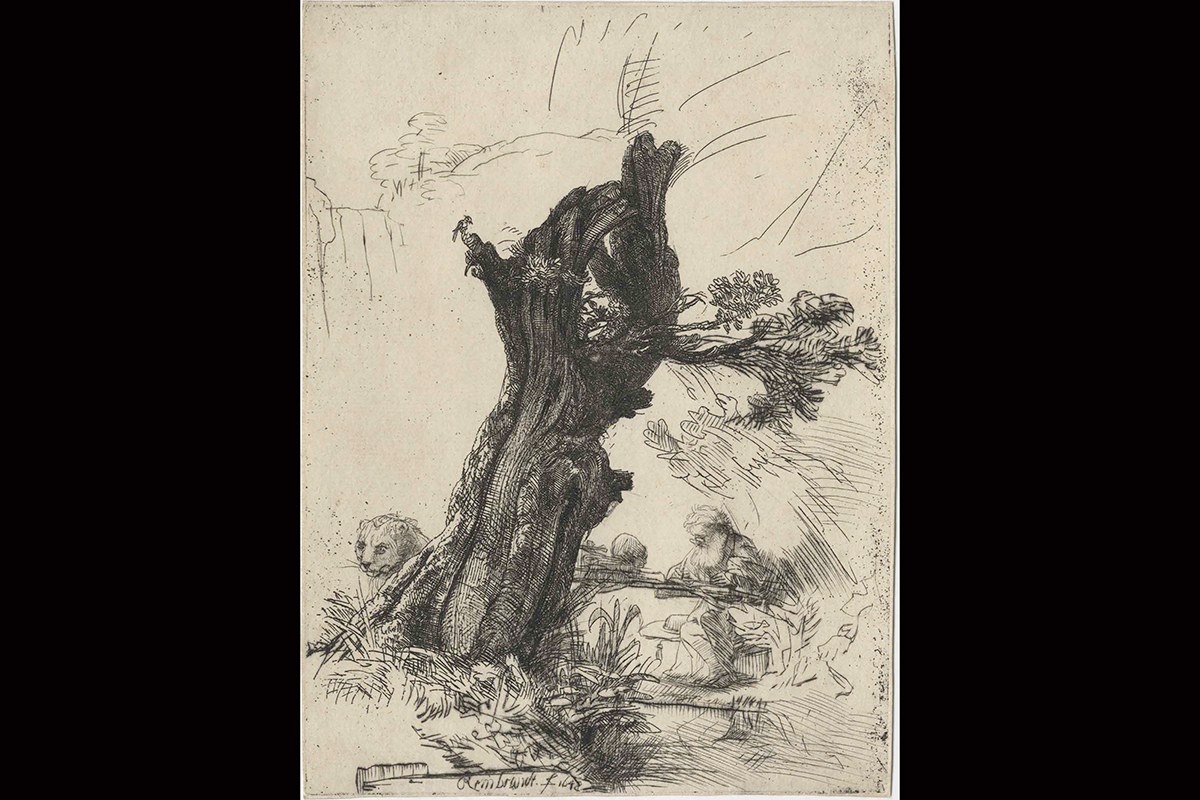 Print by Rembrandt of St. Jerome at work underneath a willow tree, with a lion peering from behind the tree.