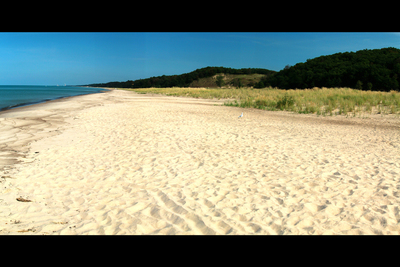 The newly designated Indiana Dunes National Park has beaches, but it also has the Great Marsh, a variety of habitats and amazing biodiversity.