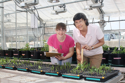 Illinois Sustainable Technology Center researchers Elizabeth Meschewski, left, and Nancy Holm and collaborators developed a systematic study to test the effectiveness of the soil additive biochar and found that it may not be as effective as previously thought.