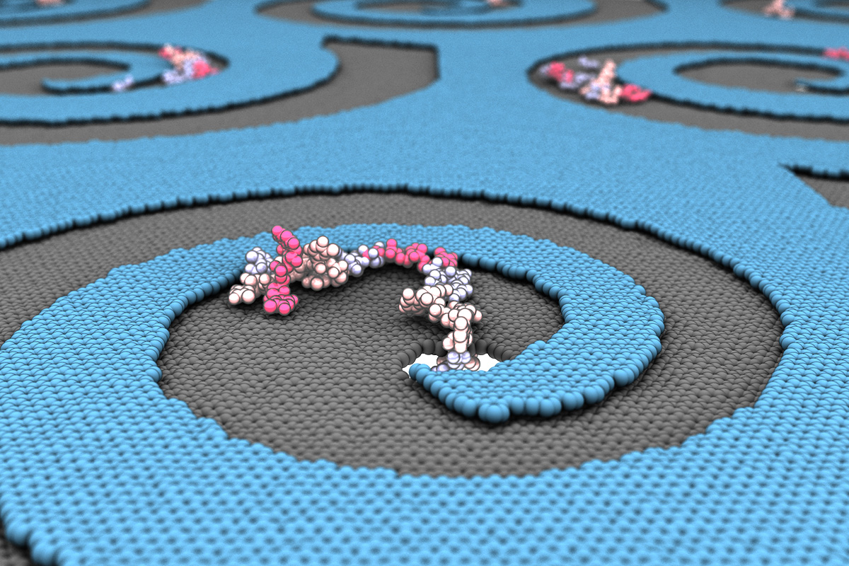 Laboratory-engineered membrane defects with edges that spiral downward would give biomolecules like DNA, RNA and proteins no other option than to sink into a nanopore for delivery, sorting and analysis.