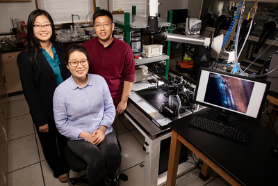 Professor Ying Diao, left, postdoctoral researcher Kyung Sun Park, seated, and graduate student Justin Kwok have found that twisted polymers can be flattened via the printing process to make them better at conducting electricity.
